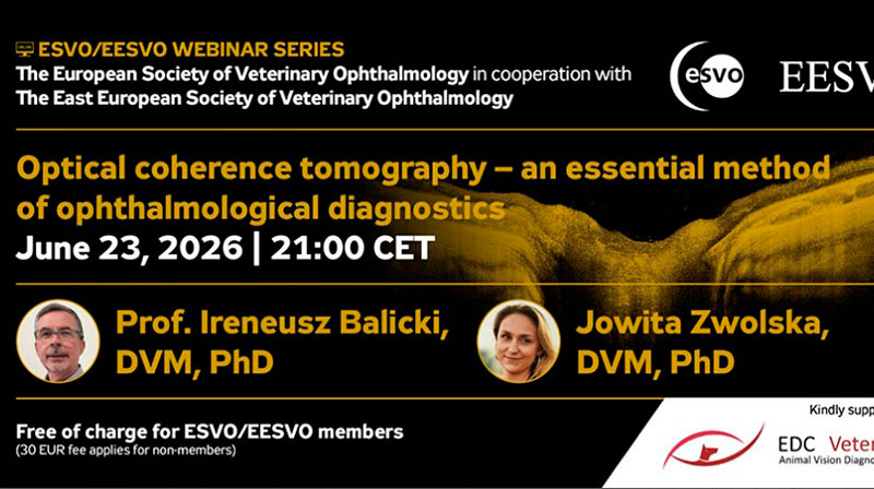 webinar-marzo-2026