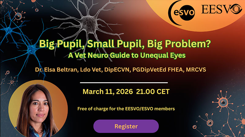 webinar-marzo-11