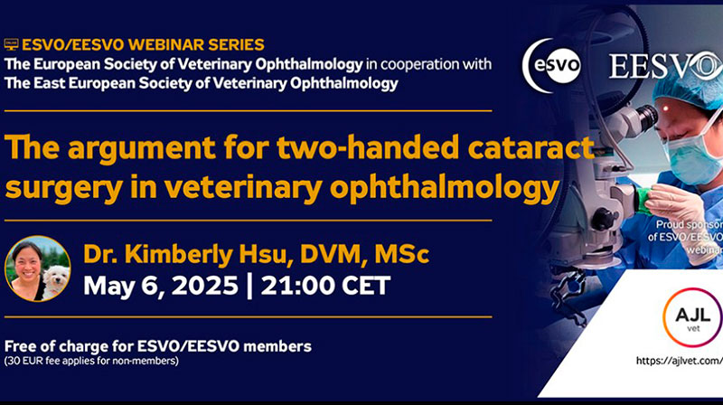 webinar-january-2025