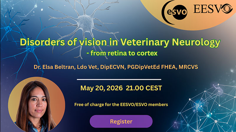 webinar-mayo-20